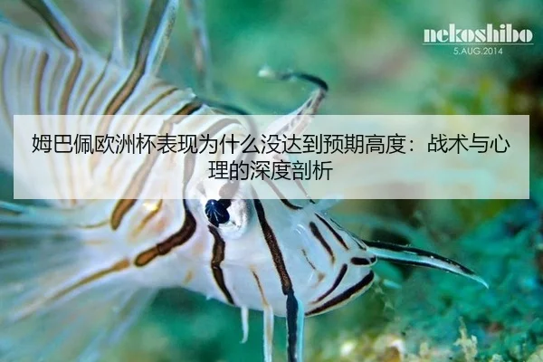 mu-ba-pei-ou-zhou-bei-biao-xian-wei-shen-me-mei-da-dao-yu-qi-gao-du-zhan-shu-yu-xin-li-de-shen-du-pou-xi-2-696.jpg